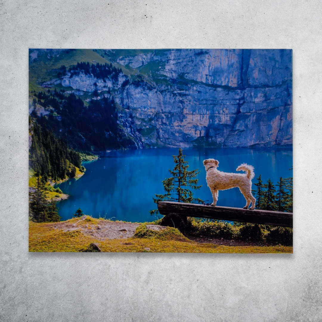 Custom Acrylic Prints