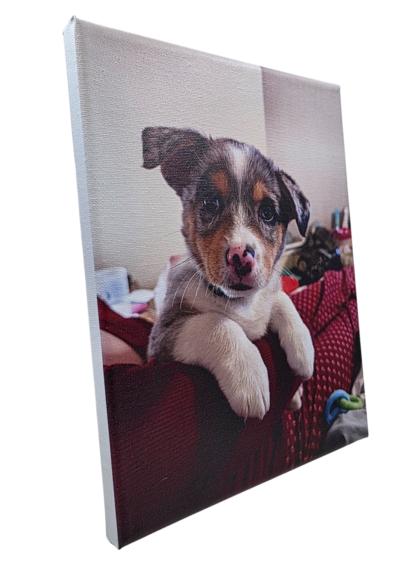 Custom Canvas Prints