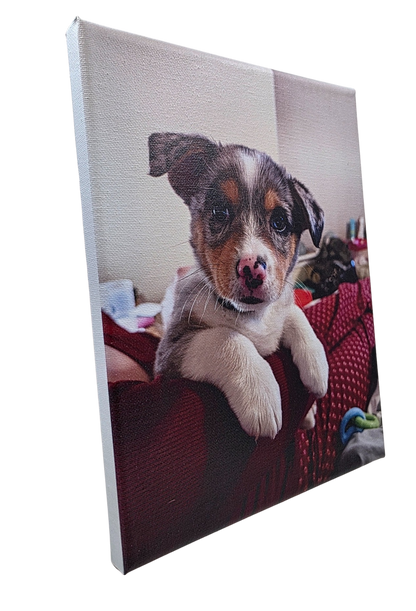 Custom Canvas Prints