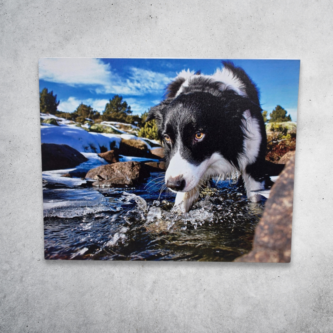 Custom Canvas Prints