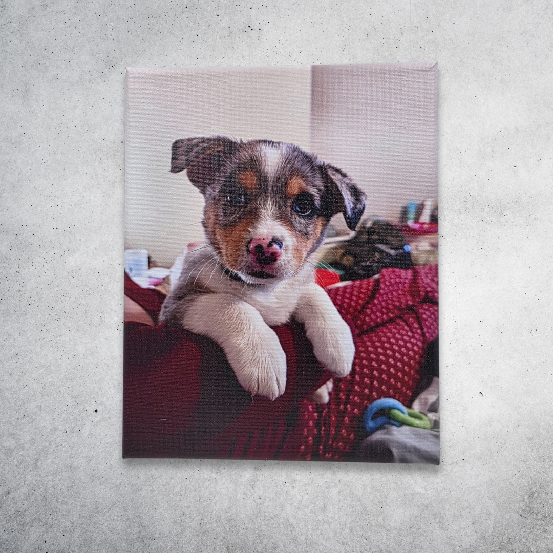 Custom Canvas Prints