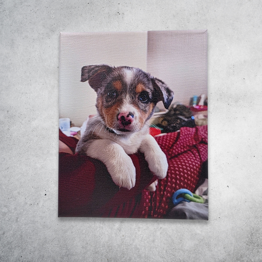 Custom Canvas Prints